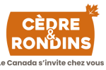 logo cedre et rondins