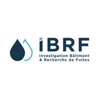logo ibrf